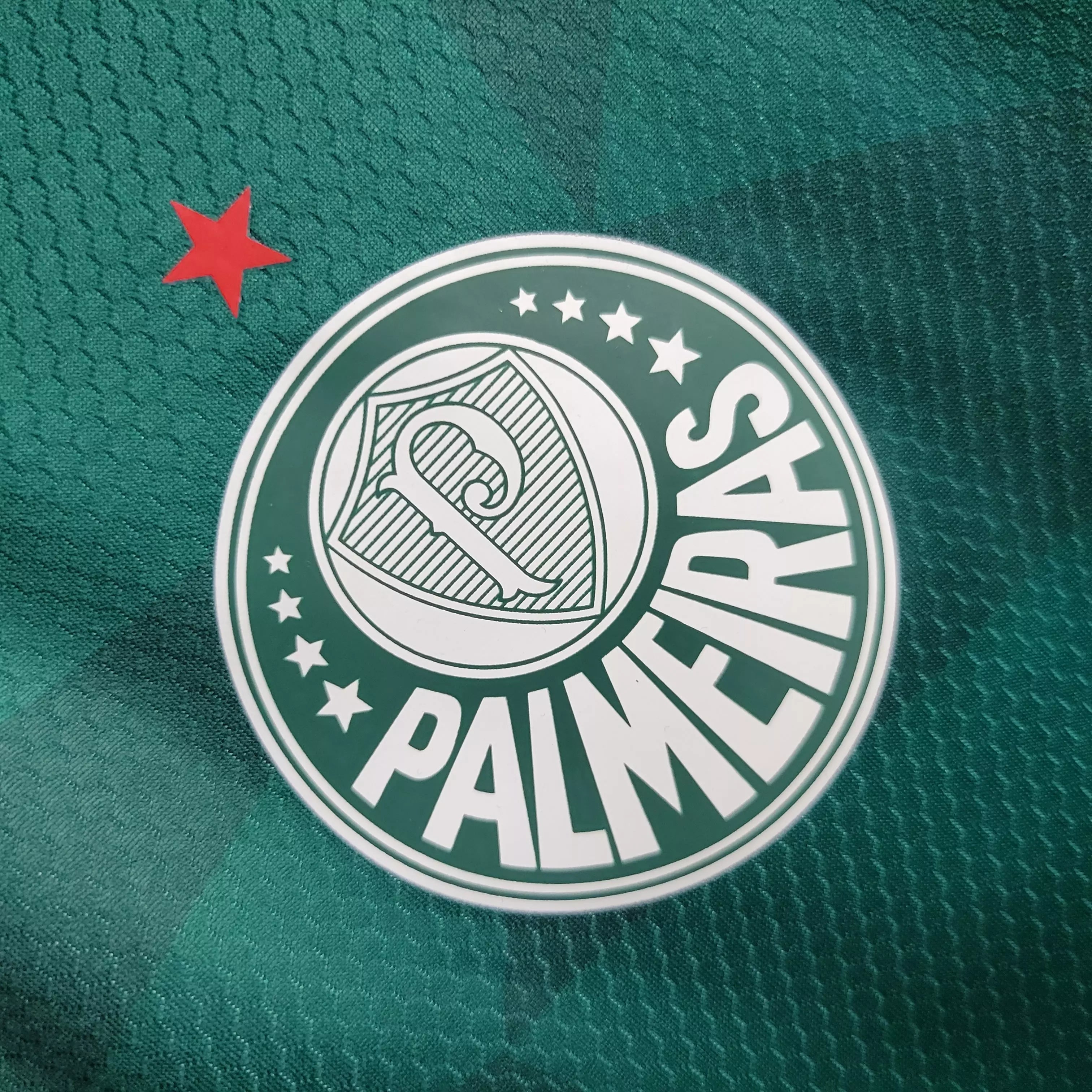 Camisa Palmeiras 2023/24 Home - Torcedor Feminina