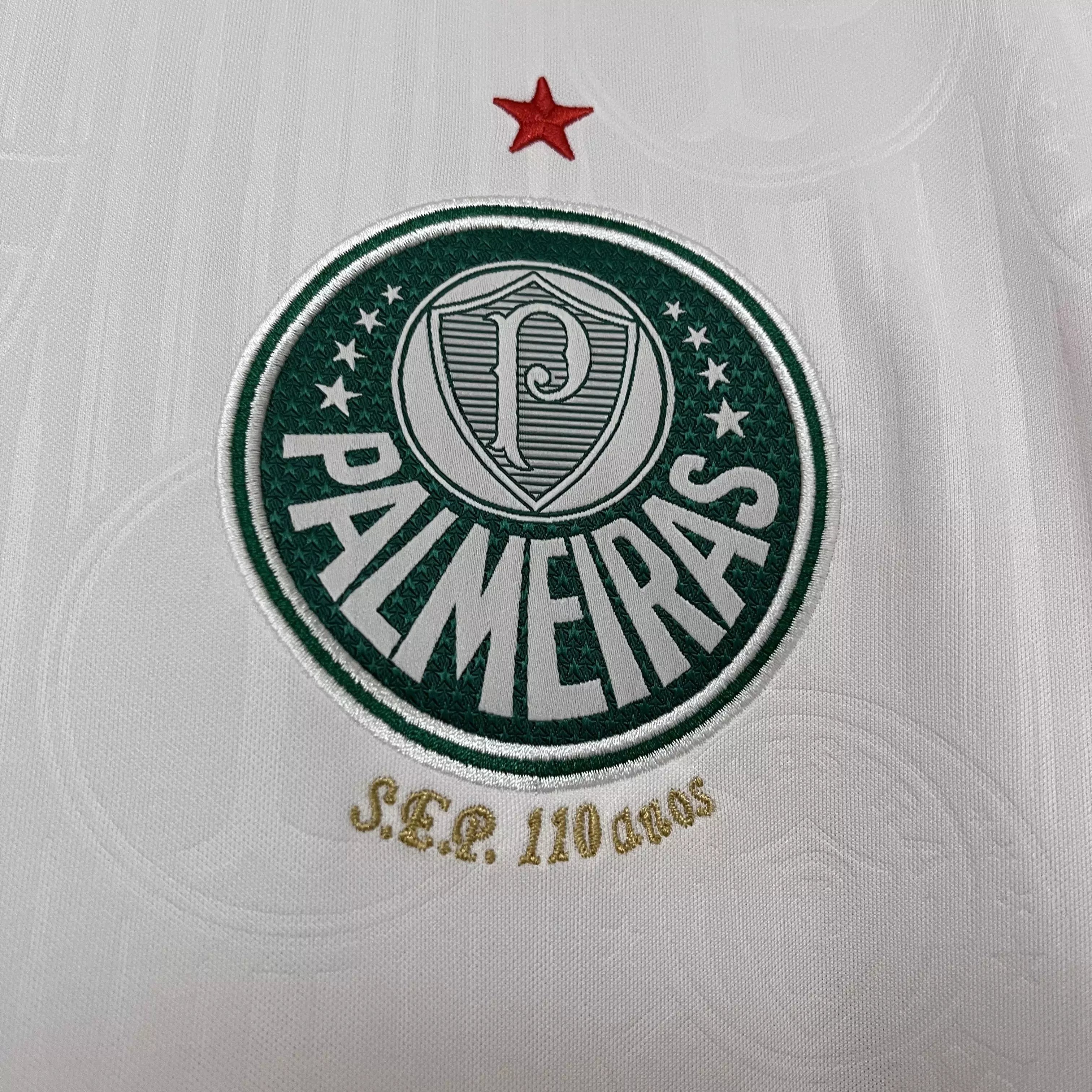 Camisa Palmeiras 2024/25 Away - Masculina