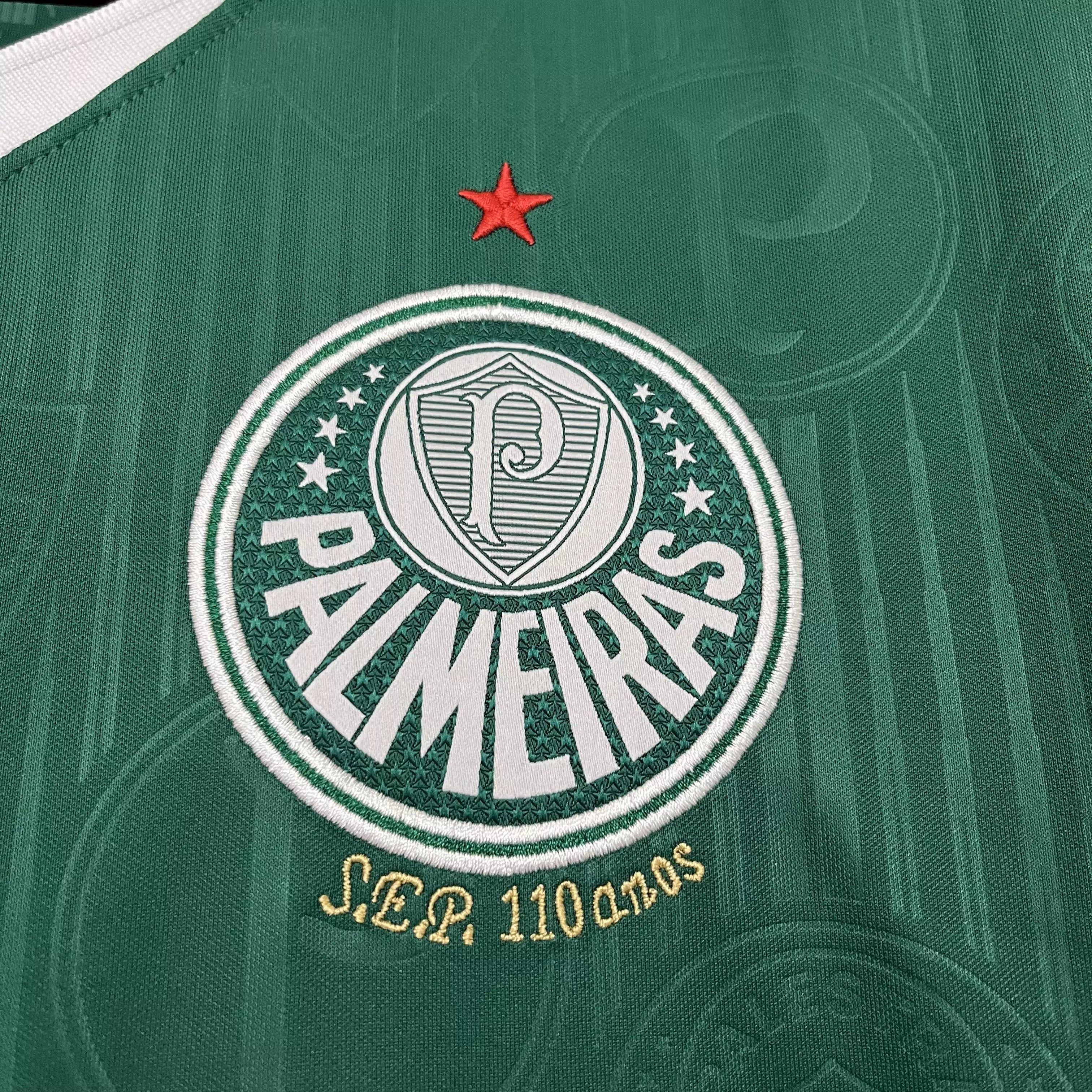 Camisa Palmeiras 2024/25 Home - Masculina