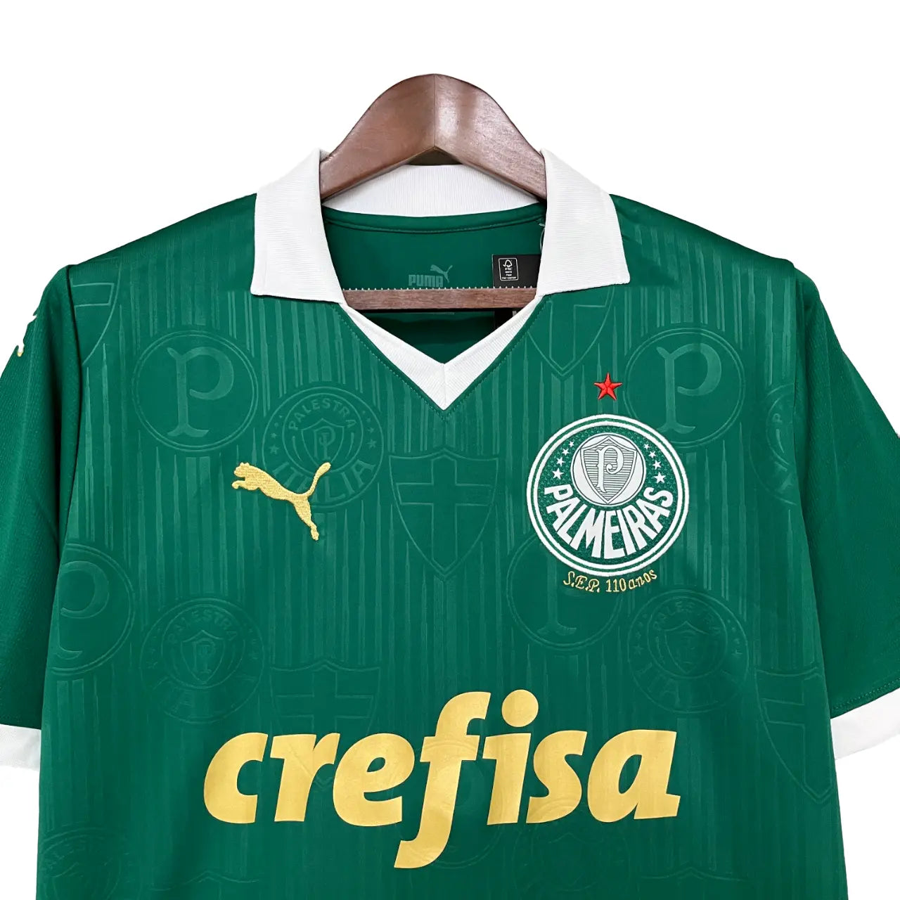 Camisa Palmeiras 2024/25 Home - Masculina