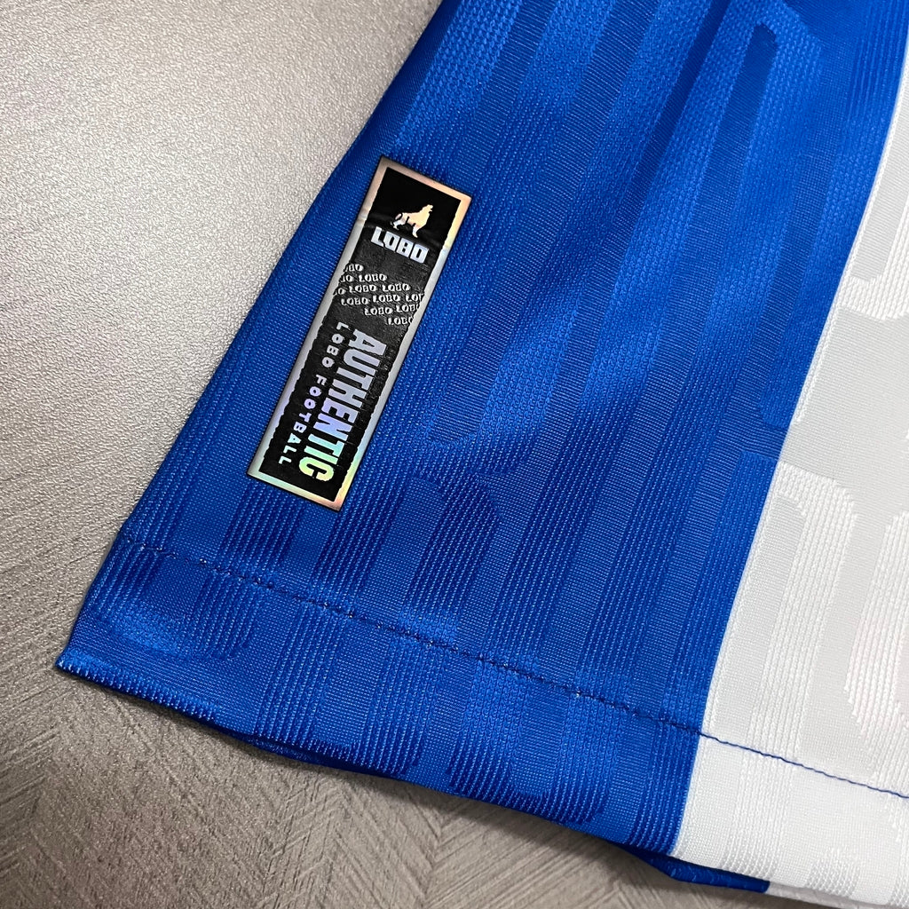 Camisa Paysandu Home 24/25 Torcedor Feminina - Azul+Branco
